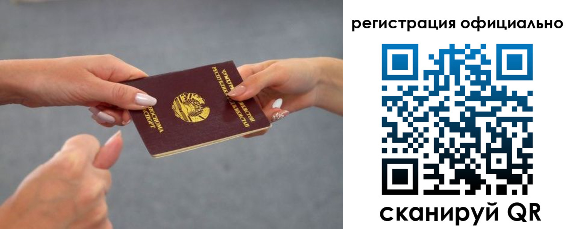прописка поиск в Шебекино